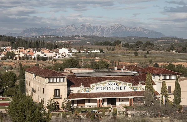 Freixenet celebrates 20 years as a founding member of the United Nations Global Compact