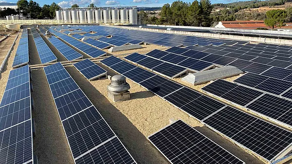 Segura Viudas continues to make progress in sustainability by installing solar panels