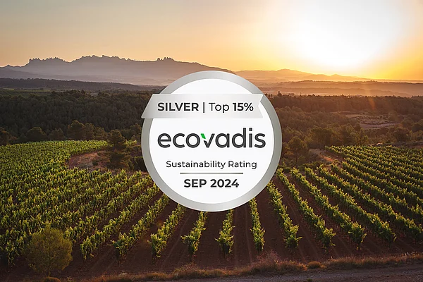 Freixenet Group obtains silver medal in the EcoVadis sustainability evaluation