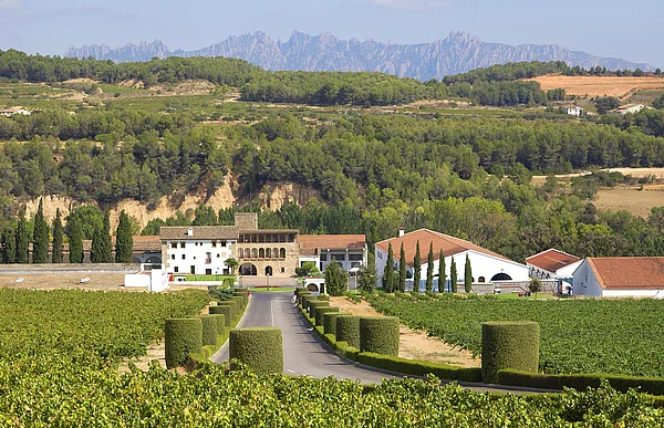 Segura Viudas revalidates the Wineries for Climate Protection certificate